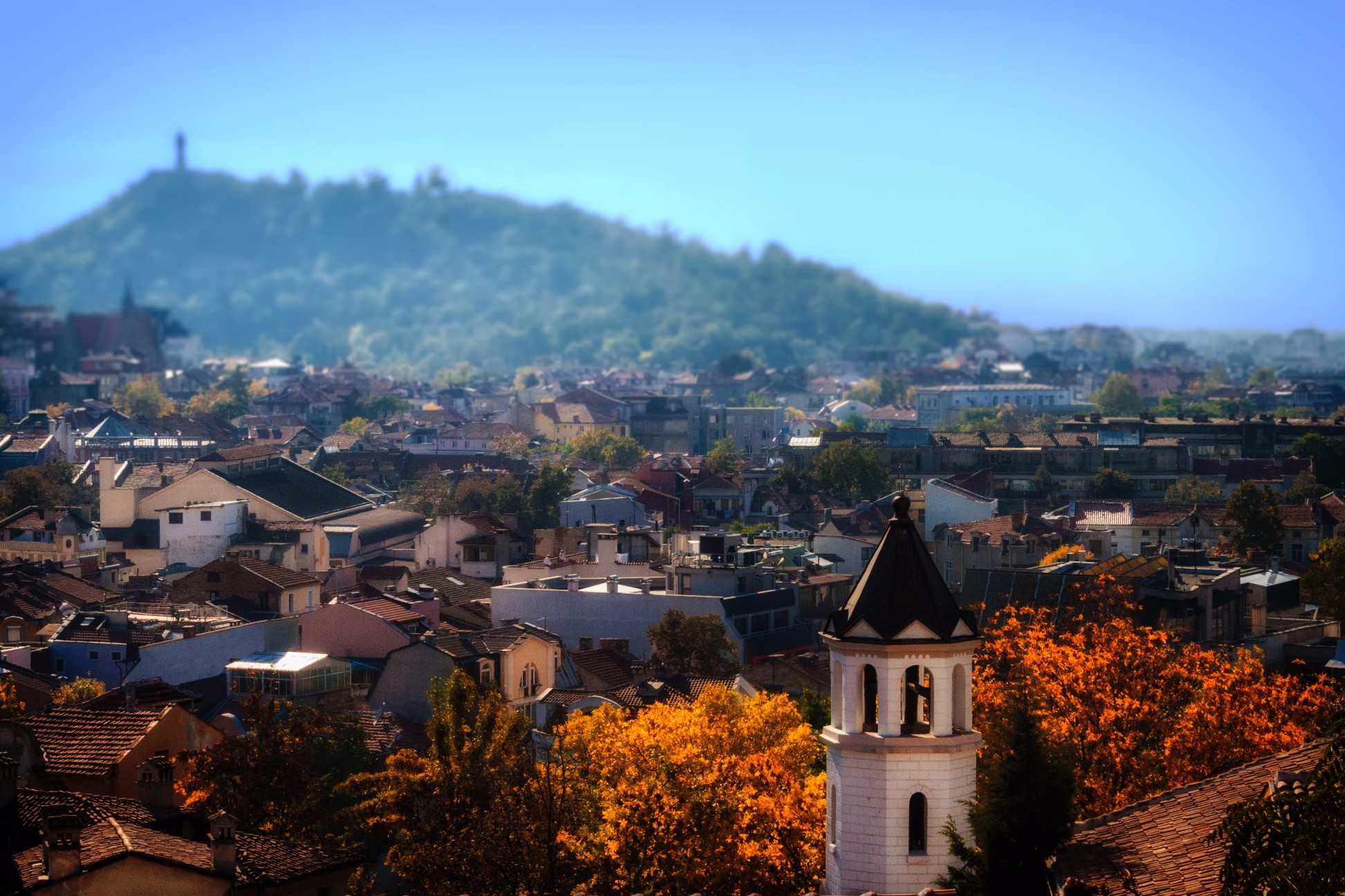 deniz-fuchidzhiev-2059.jpg (592 KB)