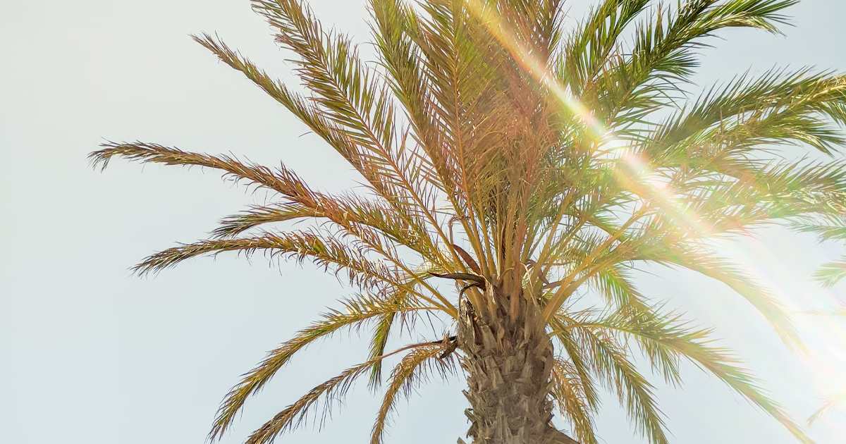 Escape the Chill - 6 Sunny Autumn European Destinations.